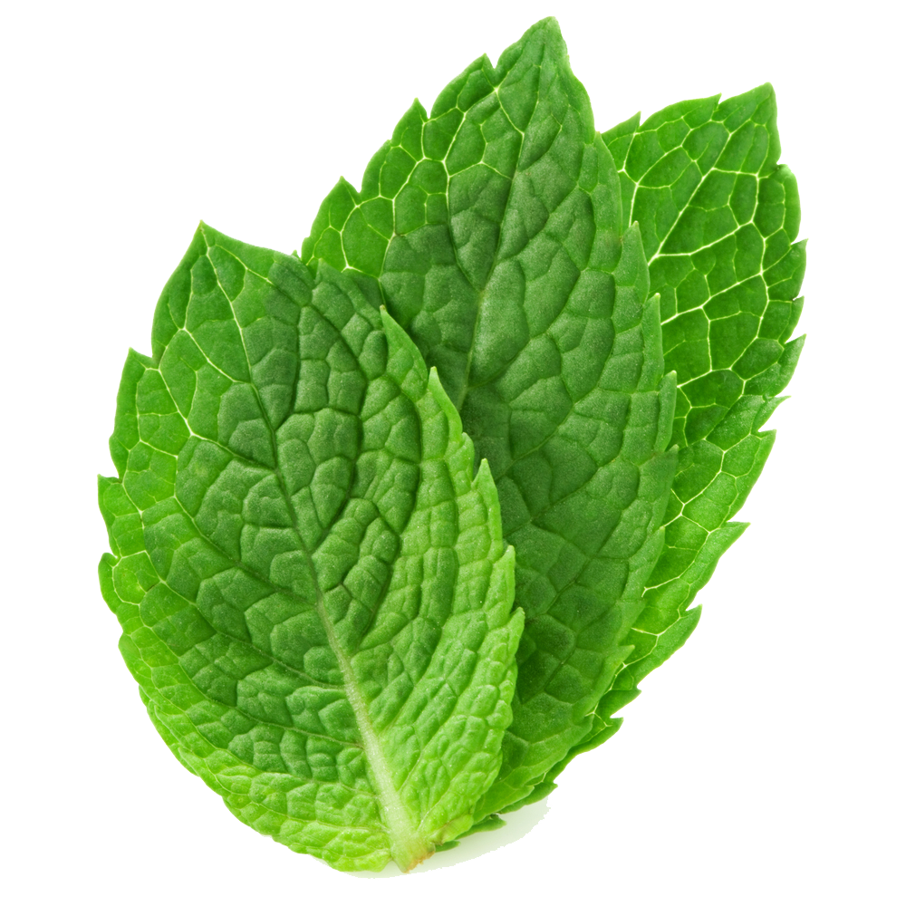 fresh-mint-leaves-vitality-bowls