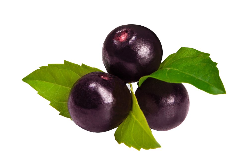 Featured image of post The Best 14 Plano De Fundo Açai