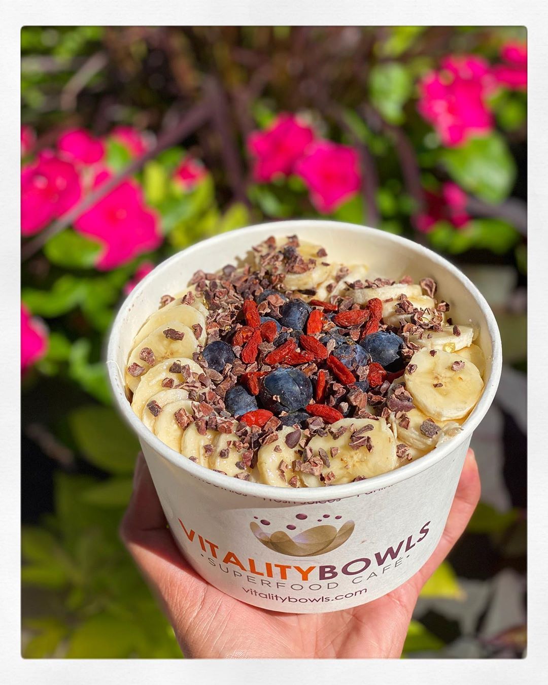 103181962_264118101684161_7524552243699489577_n Vitality Bowls