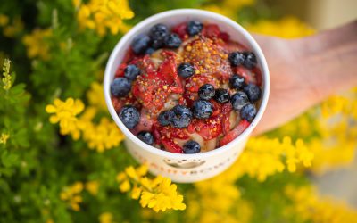 Franchising.com: Vitality Bowls Invites Fans to Celebrate National Açaí Bowl Day